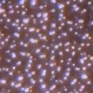 Meet your Posher, Jaydon